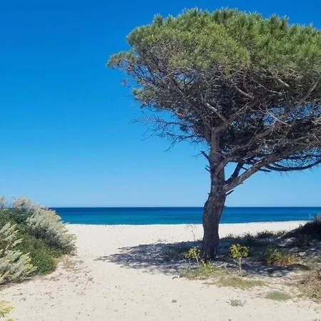 Il Casale Tatil Evi *